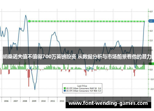 胡桑诺夫值不值得700万英镑投资 从数据分析与市场前景看他的潜力