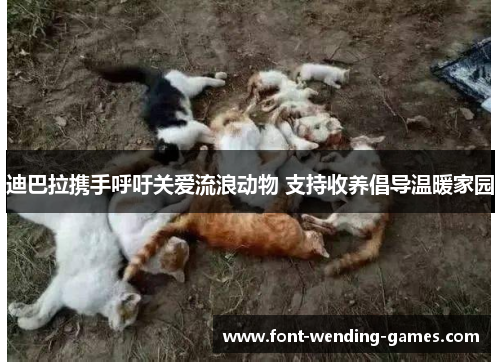 迪巴拉携手呼吁关爱流浪动物 支持收养倡导温暖家园